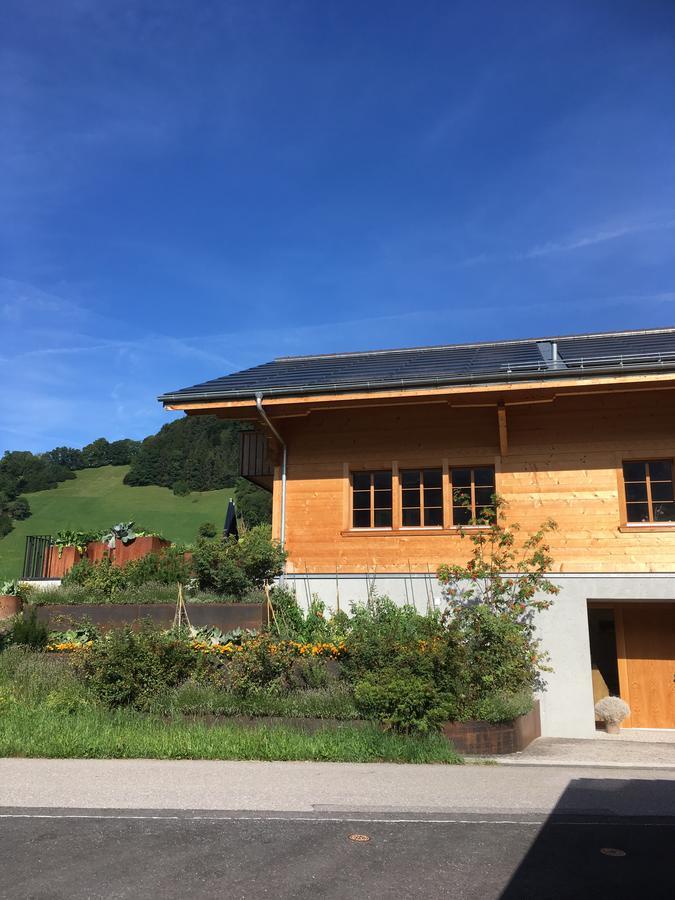 Chalet Park Apartment mit Sauna Hamam Diemtigen Buitenkant foto