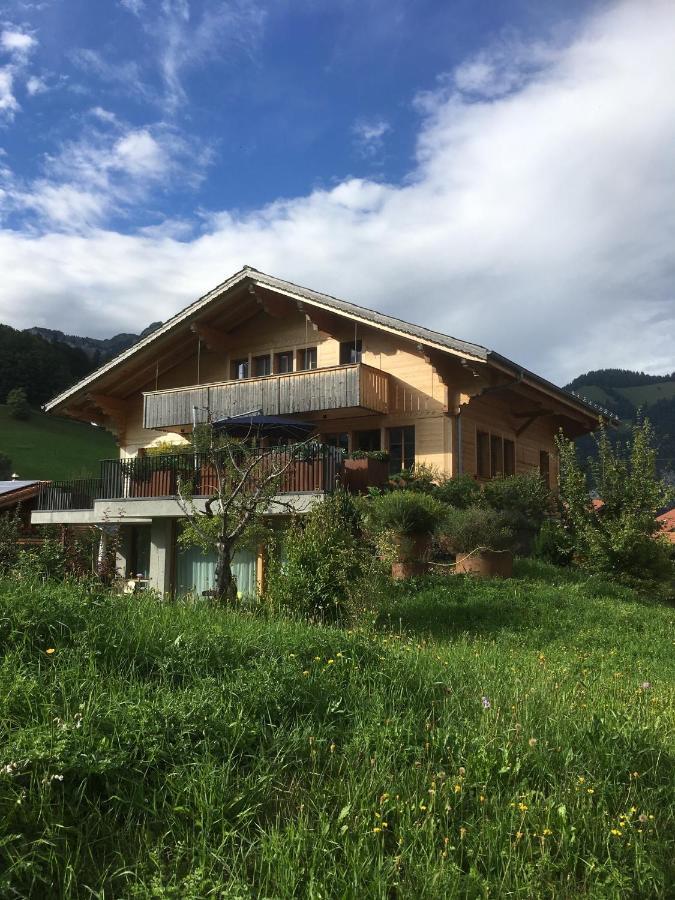 Chalet Park Apartment mit Sauna Hamam Diemtigen Buitenkant foto